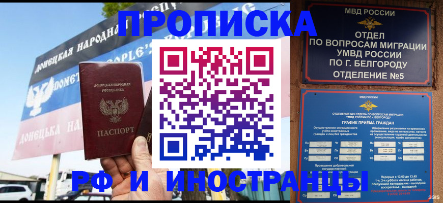 временная регистрация 2025 в Ельне